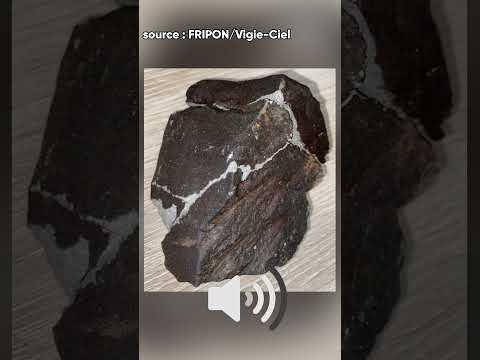 Écoutez ! C'est le bruit d'une météorite qui tombe (FRIPON/Vigie Ciel)