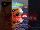 Comment prononcer Fagradalsfjall le nom du volcan islandais qui risque d'entrer en éruption ?