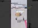 Ce robot peut soulever 100 KILOS ! #shorts