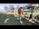 VIDEO. À Ifs, Leclerc et association plantent ensemble des centaines d'arbres aux abords du parking