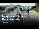 Agriculteurs en colère : le convoi de tracteurs parti de Trets est arrivé à Marseille