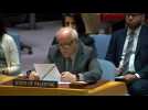 Palestinian envoy to UN condemns 'reckless' US veto of ceasefire push