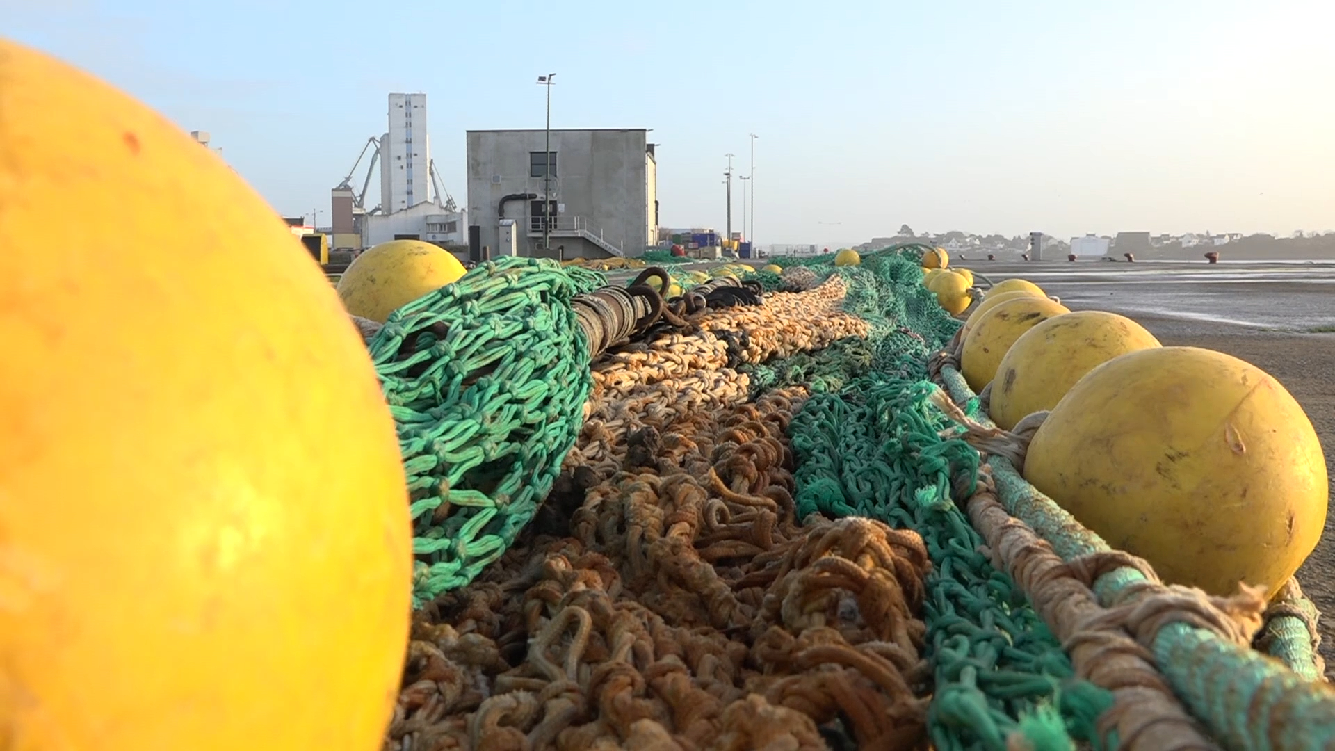 Golfe de Gascogne : toute la filière pêche lorientaise accuse le coup [Vidéo]