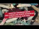 Maryse Granger tricote des chenilles porte-bonheur qu'elle sème dans Cayeux-sur-Mer