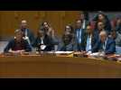 US vetoes UN Security Council Gaza ceasefire push