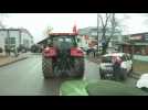 Polish farmers demonstrate against EU measures, Ukrainian imports