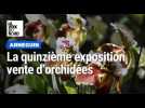 Exposition vente d'orchidées à Annequin