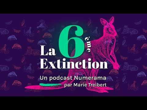 La 6e Extinction - Ép.5 – Mais où est le wallaby ? (Podcast)