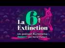 La 6e Extinction - Ép.5 – Mais où est le wallaby ? (Podcast)