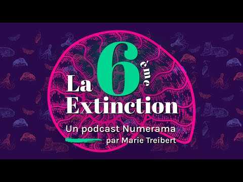 La 6e Extinction - Ép.2 – Les secrets des fossiles (Podcast)