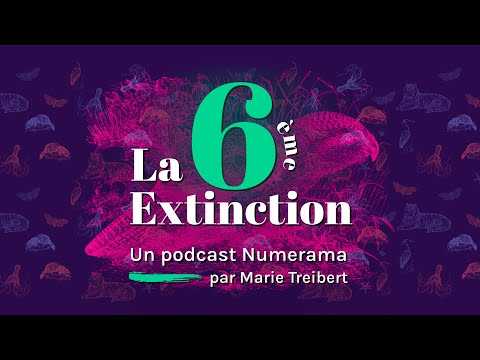 La 6e Extinction - Ép.1 - La folle histoire du kakapo (Podcast)