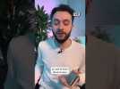 Téléphone PLIANT ou téléphone PLIABLE ? On met fin au débat ! #shorts