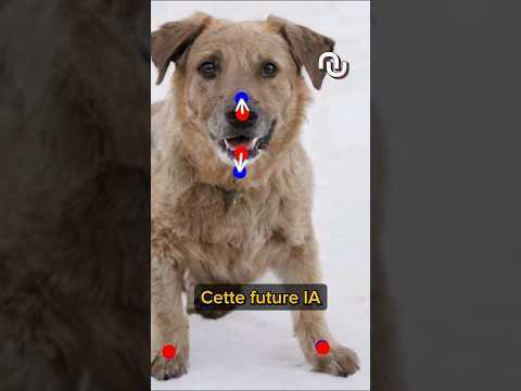 DragGAN, l'IA qui réinvente vos photos #shorts