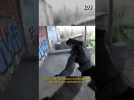 UNRECORD, le jeu vidéo GoPro aux graphismes ultra-réalistes #shorts