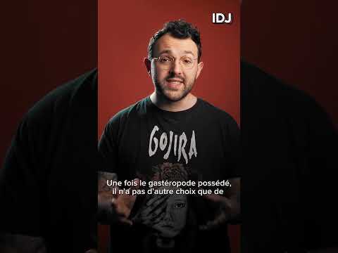Le parasite qui transforme en zombie #shorts