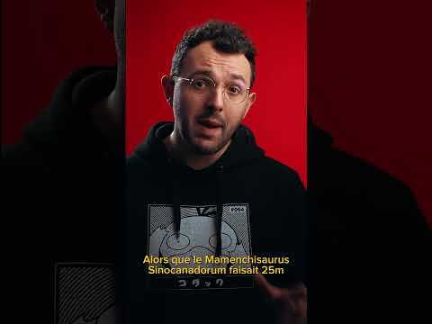  Ce Dinosaure vient de battre un record du monde : le Mamenchisaurus Sinocanadorum #shorts