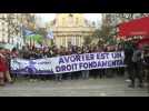 Abortion in the Constitution: dozens of pro-abortion activists gather in Paris