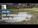 L'agriculteur bio de Wallers Dominique Miroux réclame le curage contre les inondations de ses champs