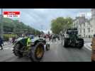 Manifestation du 1er Mai à Nantes : les tracteurs roulent à l'envers
