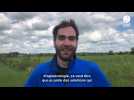 VIDÉO. Pierre Girard, journaliste et youtubeur, tourne une vidéo sur des agriculteurs en Mayenne