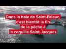 Dans la baie de Saint-Brieuc, une saison difficile pour les pêcheurs de coquilles Saint-Jacques