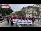 VIDEO. Manifestation à Nantes contre le choc des savoirs