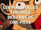 One piece : Les Folles Théories des Fans