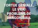 Dragon Ball : le problème avec Tortue Géniale