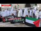 VIDÉO. À Châteaubriant, 160 personnes mobilisées pour dire « halte au massacre à Gaza »