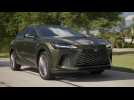 2024 Lexus RX 450h+ PHEV Luxury Driving Video