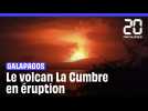 Un volcan entre en éruption sur une île inhabitée des Galapagos #shorts