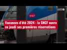 VIDÉO. Vacances d'été 2024 : la SNCF ouvre ce jeudi ses premières réservations