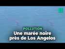 Une marée noire encore inexpliquée sur les côtes de Los Angeles