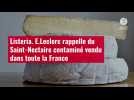 VIDÉO. Listeria. E.Leclerc rappelle du Saint-Nectaire contaminé vendu dans toute la France