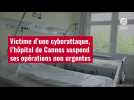 VIDÉO. Victime d'une cyberattaque, l'hôpital de Cannes suspend ses opérations non urgentes
