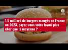 VIDÉO. 1,5 milliard de burgers mangés en France en 2023, payez-vous votre favori plus cher que la mo