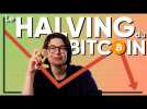 HALVING : le BITCOIN va-t-il PERDRE TOUTE VALEUR ?