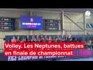 VIDEO. Volley: Après la finale de championnat, les Neptunes de Nantes finissent avec l'argent au cou