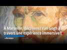 À Marseille, découvrez Van Gogh à travers une expérience immersive incroyable !