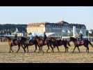 VIDEO. La rédaction de Deauville réalise un grand dossier sur le monde du cheval