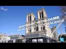 En attendant Notre-Dame de Paris... Cinq ans de travaux et de résilience