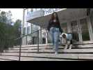 HANDICAP / L'Université de Tours refuse un chien d'assistance