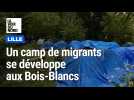 Un camp de migrants se développe à Lille