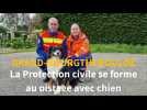 La Protection civile Normandie Seine se forme au pistage avec chien