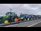 Les agriculteures bloquent l'autoroute A4 au niveau de Bussy-Saint-Georges
