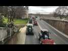 VIDEO. Le convoi de tracteurs des agriculteurs en colère débarquent dans le centre-ville d'Angers