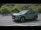 The new Ford Kuga Active Driving Video