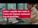 VIDÉO. Leclerc rappelle dans toute la France des légumes contenant trop de pesticides
