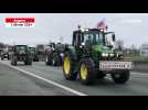 VIDÉO. Les agriculteurs et leurs tracteurs arrivent par le sud de l'agglomération