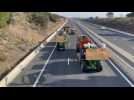 Agriculteurs en colère dans les Pyrénées-Orientales : slogans sur les godets et bennes chargées, les tracteurs roulent sur l'A9 en direction de la frontière espagnole